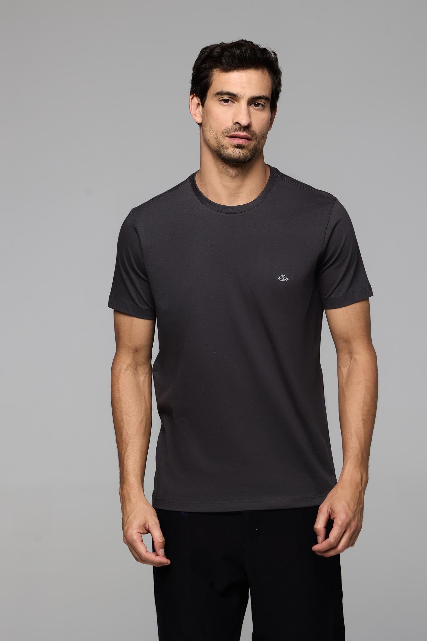 T SHIRT BASICA MEIA MALHA MASC