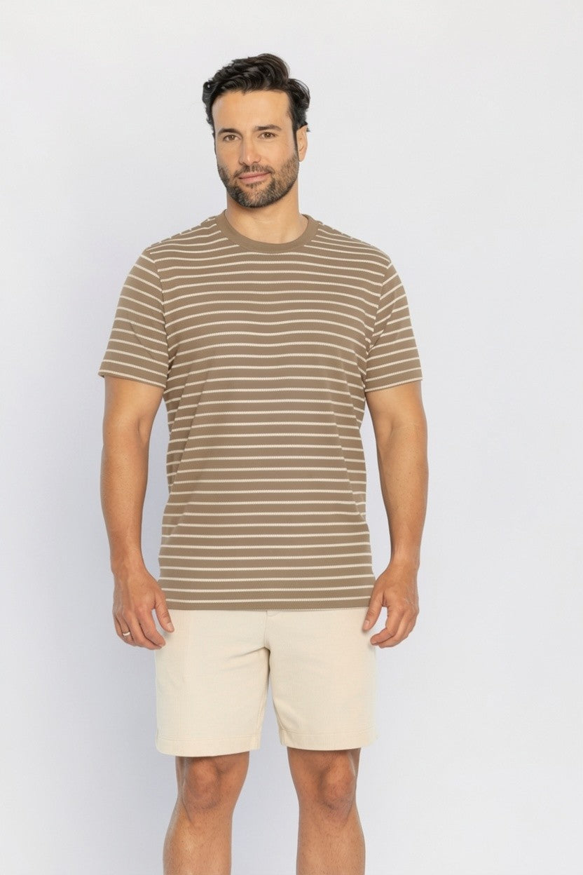 30258-CAMISETA M/C GOLA CARECA LISTRADO APIS