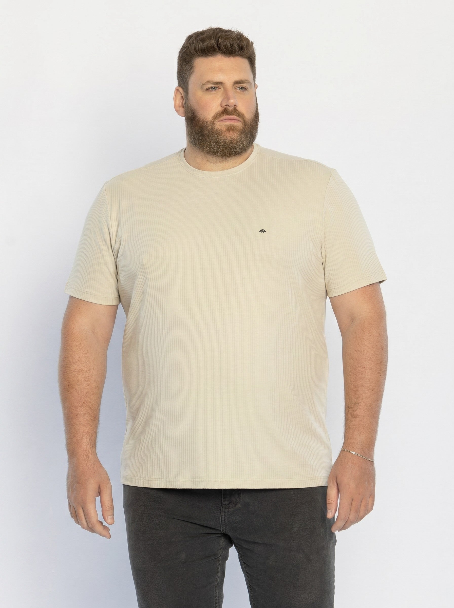 30262-CAMISETA M/C GOLA CARECA MALHA ARTY