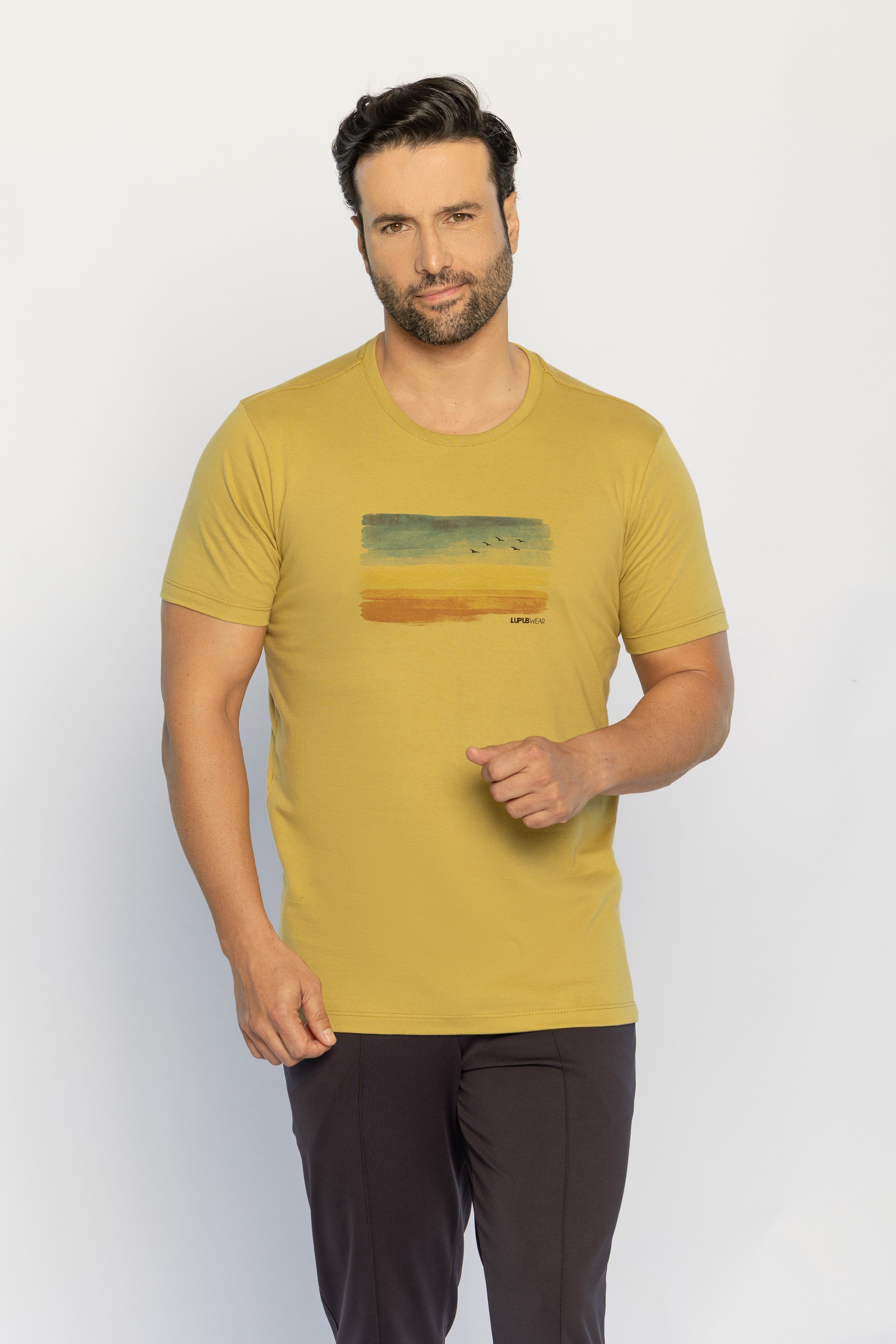 30281-CAMISETA M/C GOLA CARECA M.MALHA
