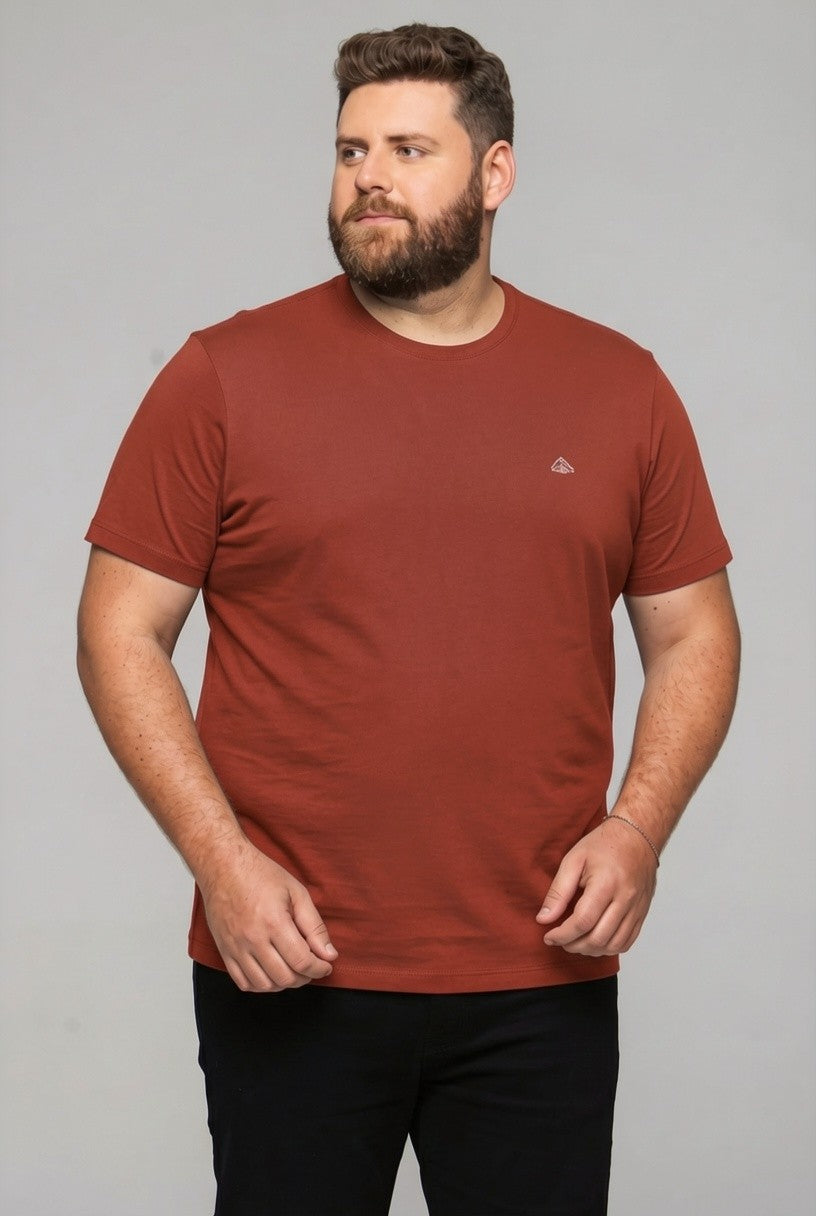 33001 T SHIRT BASICA MEIA MALHA PLUS SIZE MASC MC