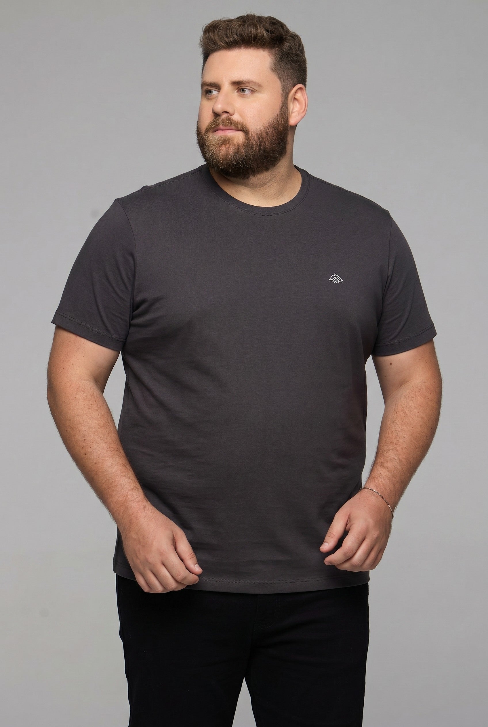 33001 T SHIRT BASICA MEIA MALHA PLUS SIZE MASC MC