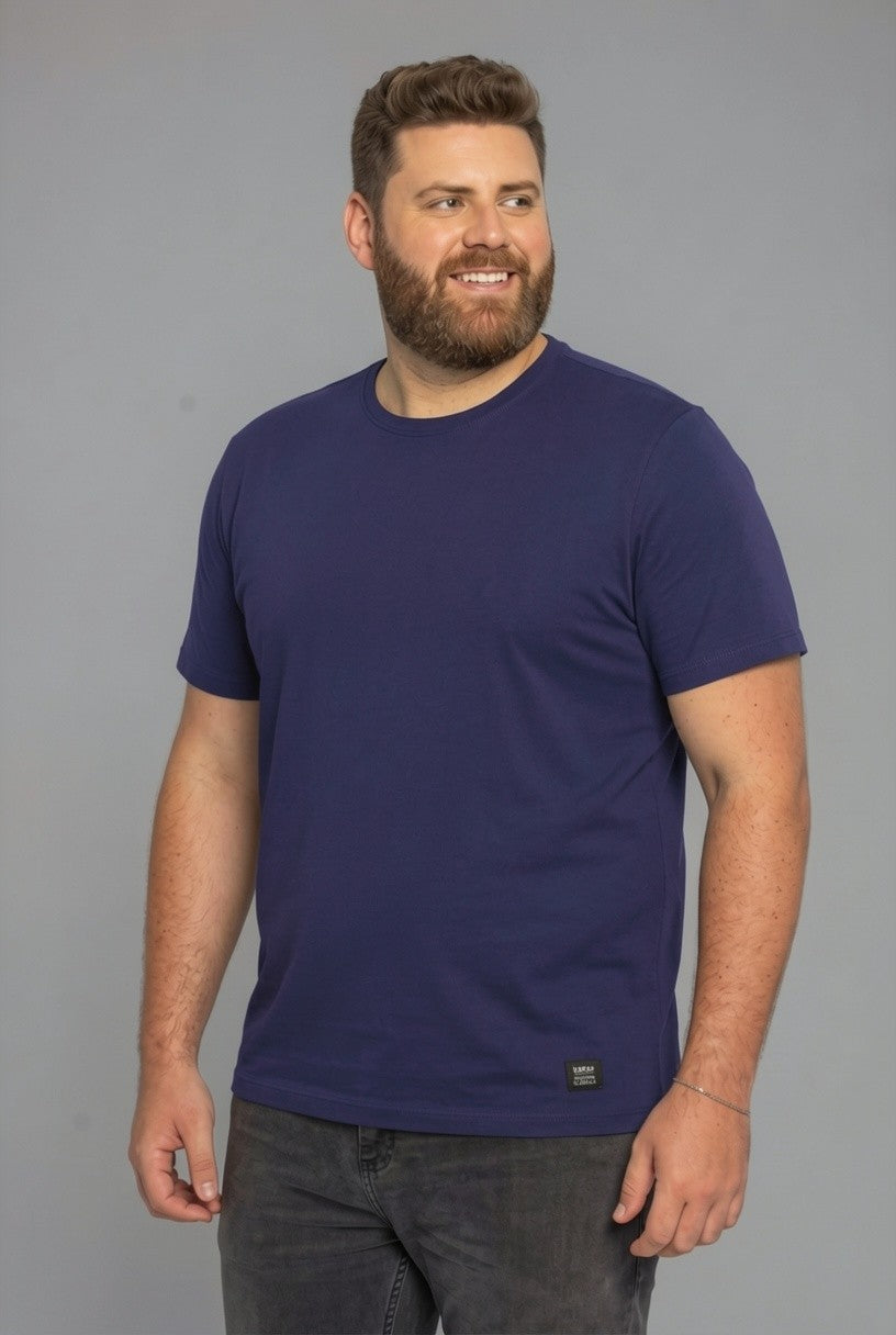 33048 T SHIRT  MASC MC PLUS SIZE PIQUET PALADIN