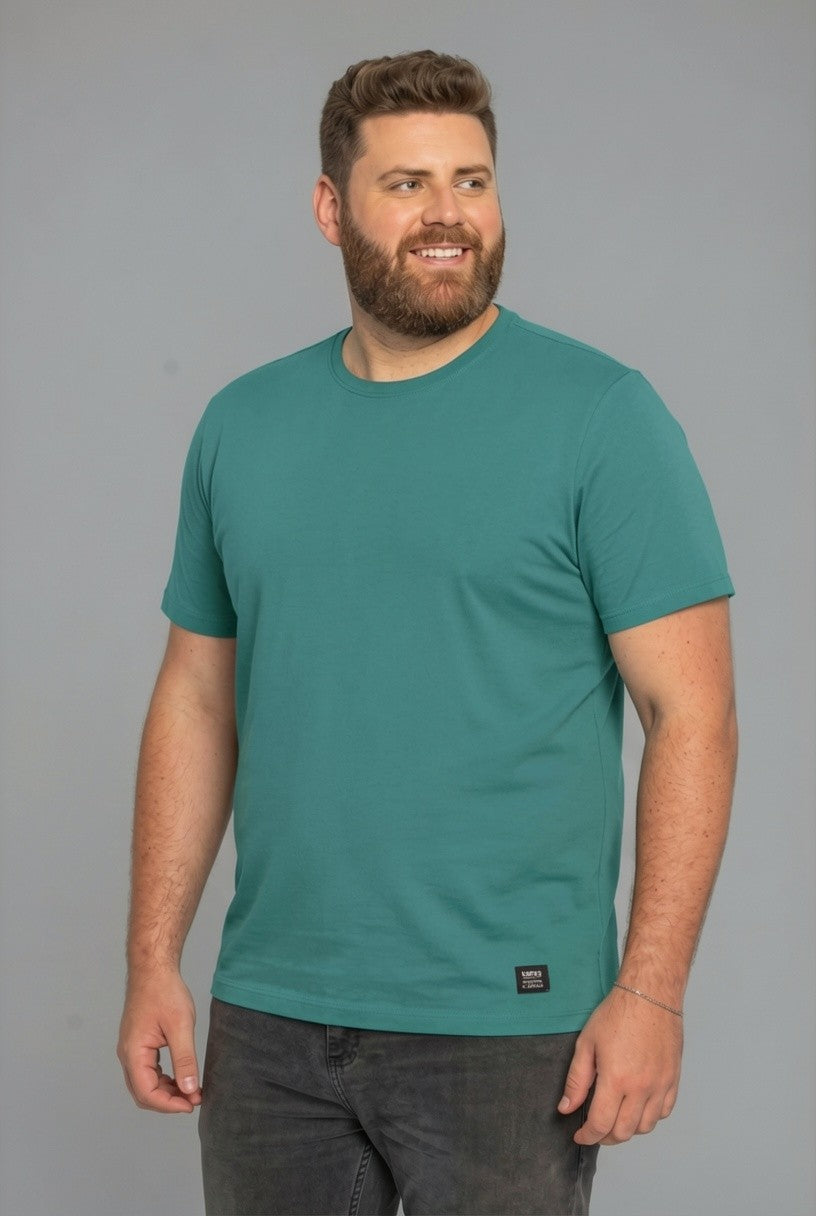 33048 T SHIRT  MASC MC PLUS SIZE PIQUET PALADIN