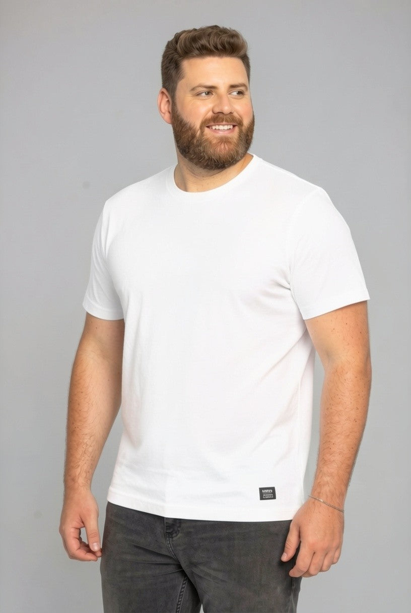 33048 T SHIRT  MASC MC PLUS SIZE PIQUET PALADIN