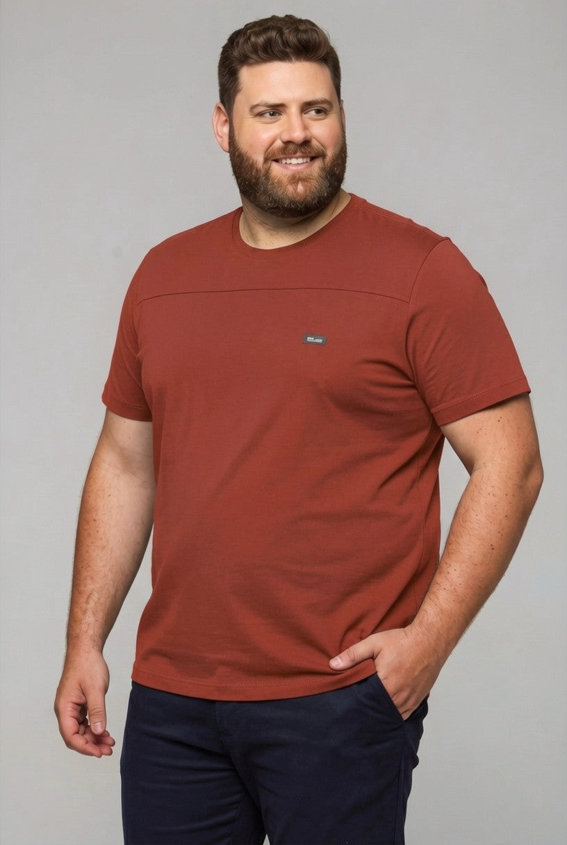 33049- T SHIRT  MASC MC PLUS SIZE M.MALHA