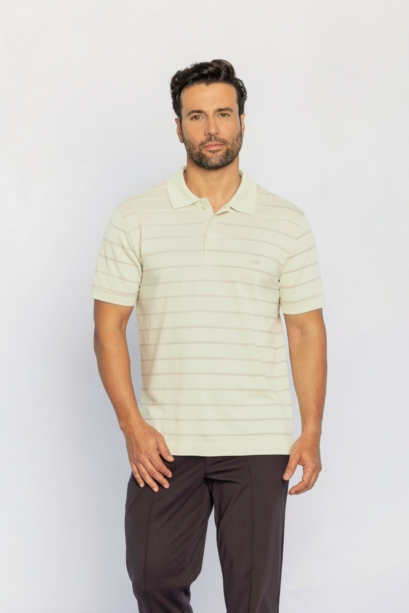 40217-CAMISETA M/C GOLA POLO LISTRADO ECLIPSE LUNAR
